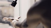 Comment bien choisir son soin après-rasage ?