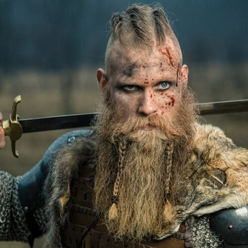 Barbe viking petites tresses
